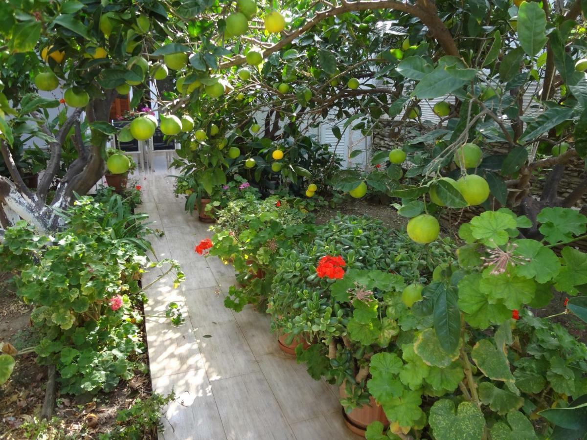 Cozy Citrus Garden House By The Seaside. Villa Chones Bagian luar foto