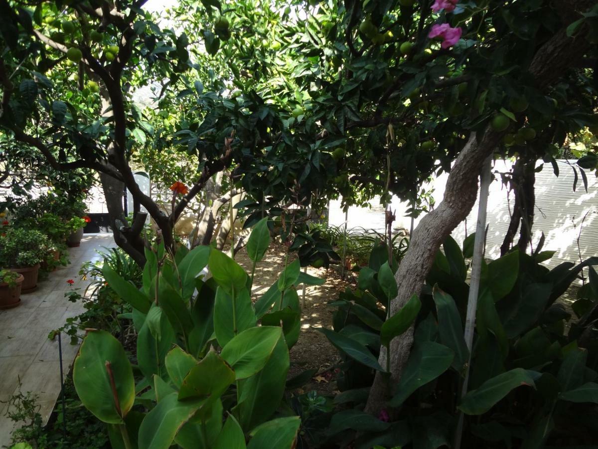 Cozy Citrus Garden House By The Seaside. Villa Chones Bagian luar foto